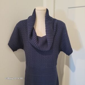 The Limited Sweater Dress